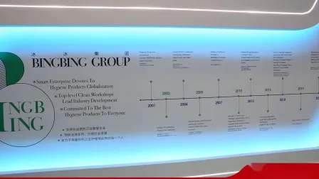 Sparklecare Customized Disposable Home Adult Diaper L