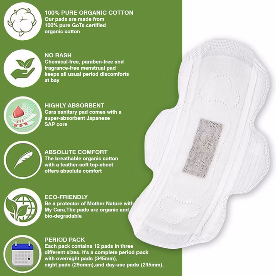 Factory Brand Disposable Women Sanitary Pad for Menstrual