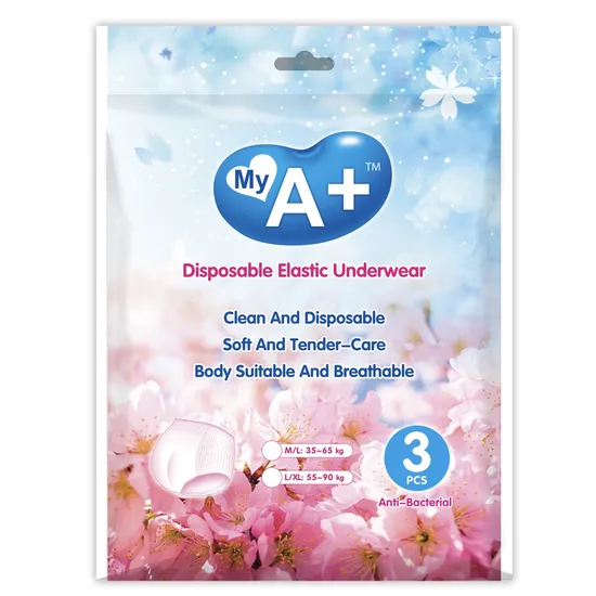 Incontinence Menstrual Period Underwear High Ultra Thin Caring Pants Disposable Underwear 