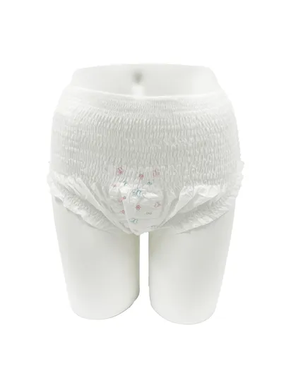 Wholesale 360& Deg; High Waist Non Woven Fabric Waistband Leak Guard Period Panties/Menstrual Underwear 