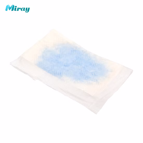 Free Sample Adult Diaper Wholesale Pull up Pant Quanzhou Tianjiao Lady OEM&ODM Wholesale Cheap Disposable Diapers Underpads