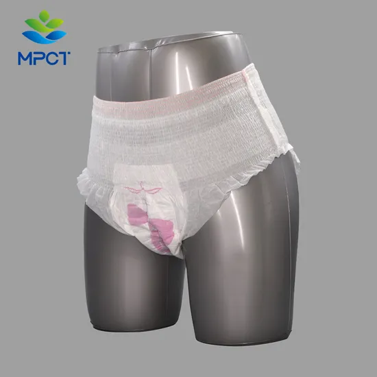 Lady Period Protection Sanitary Pants Disposable Sanitary Underwear Supplier OEM Brand 